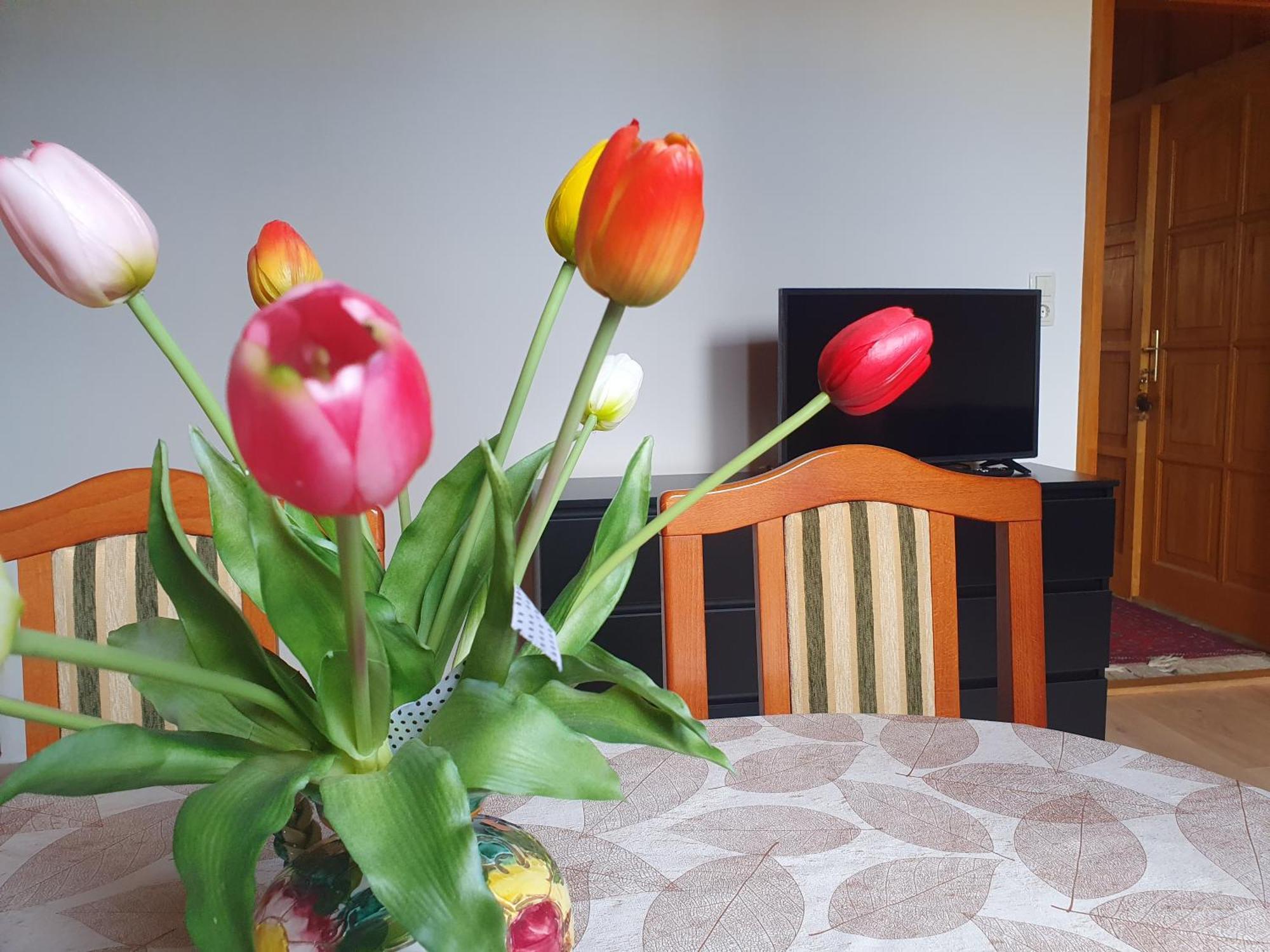 Feher Rozsa Apartman チェーセクトマイ エクステリア 写真