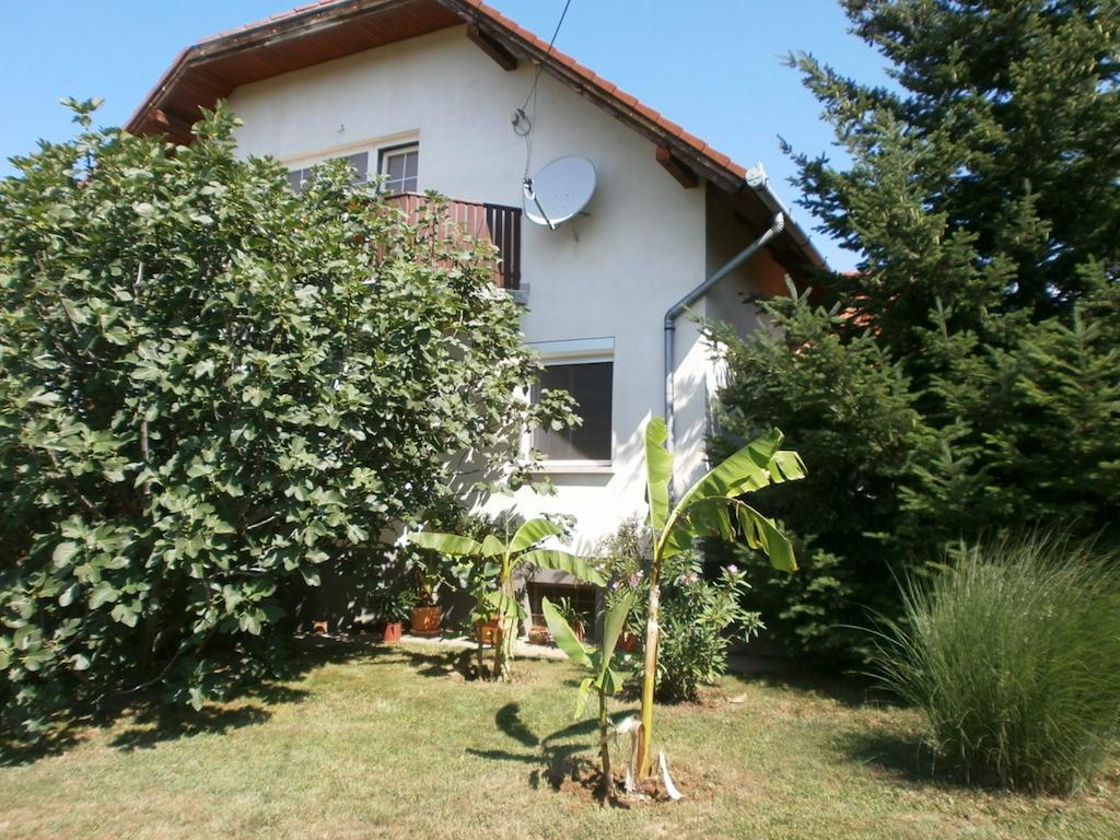 Feher Rozsa Apartman チェーセクトマイ エクステリア 写真